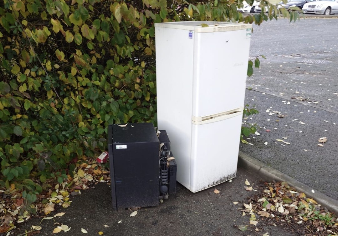 Domestic Fridge Freezer Collection