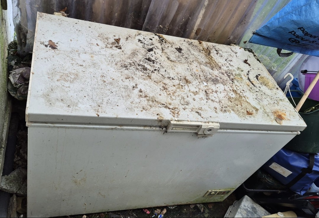 Benefits of professional fridge freezer removal Company