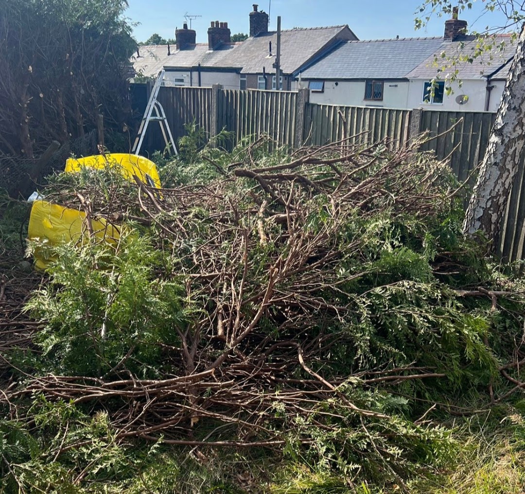 Professional garden waste clearance services