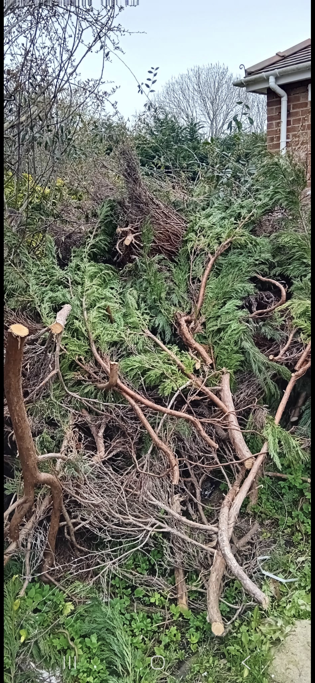 Responsible Green Waste Disposal